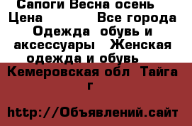 Сапоги Весна осень  › Цена ­ 1 700 - Все города Одежда, обувь и аксессуары » Женская одежда и обувь   . Кемеровская обл.,Тайга г.